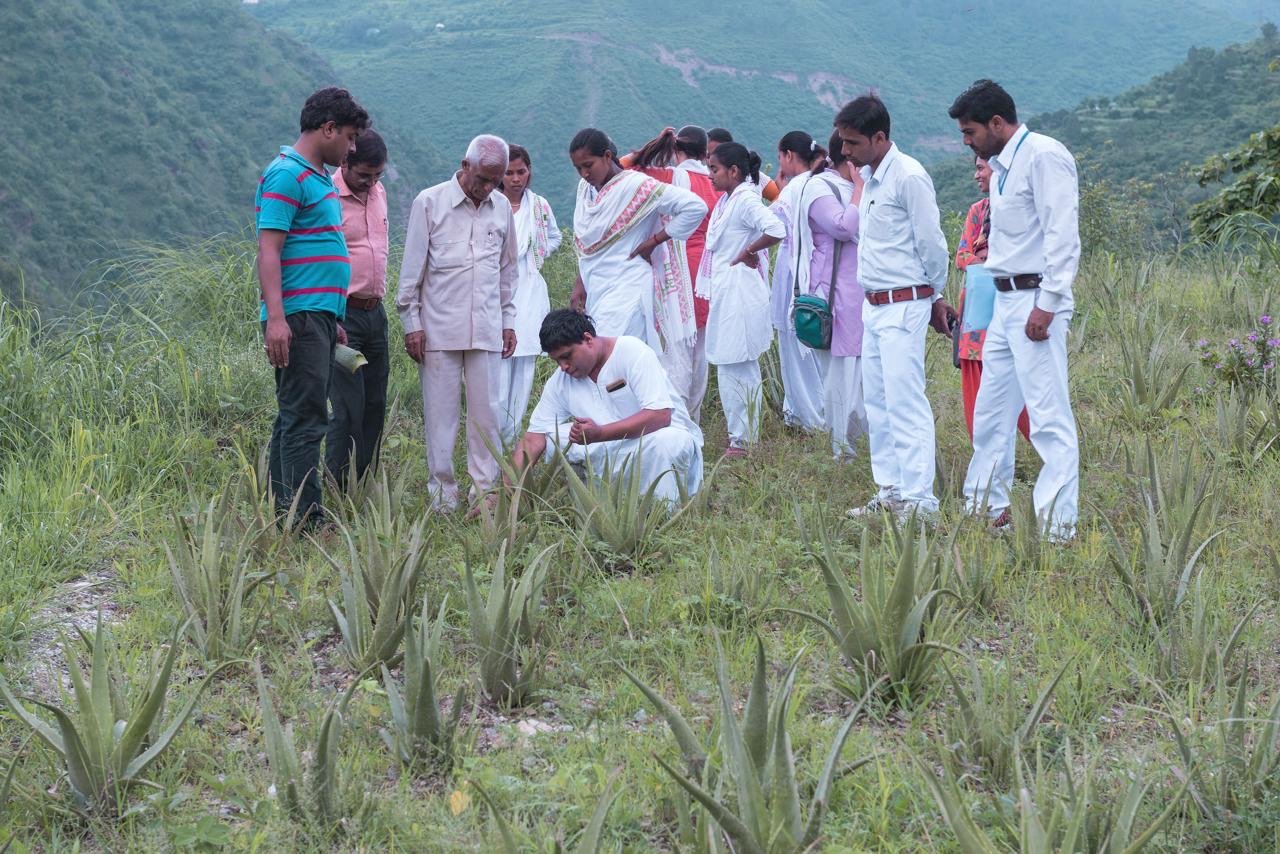 देश में पहली बार पतंजलि ने जनजातीय समुदाय को जियो टैगिंग से किया मैपिंग, यह बड़ा कठिन और अनूठा कार्य रहा